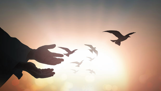 Сваки опроштај нас мења на боље